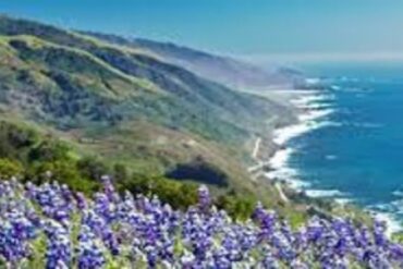 Join the 90s Club, Dec. 12